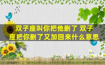 双子座叫你把他删了 双子座把你删了又加回来什么意思